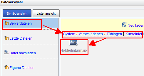Bild vom Server integrieren